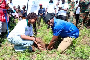 Tree planting