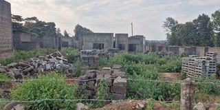 Stalled projects developed by Nyumbani Concepts Limited