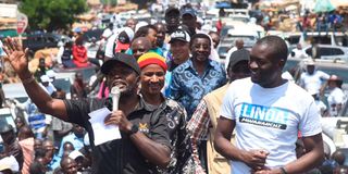 Linda Mwananchi rally