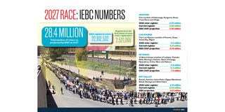 IEBC numbers 