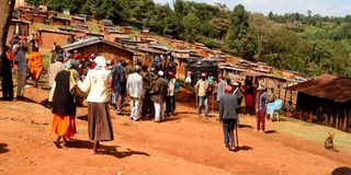Mau forests evictees