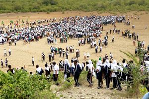  International Mangrove Day 