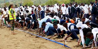 International Mangrove Day 