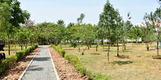 Baby Pendo Park