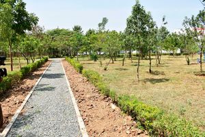 Baby Pendo Park