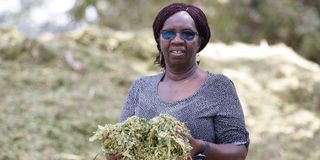 Josphine Wangechi