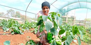 Najma Ado Mohamed 