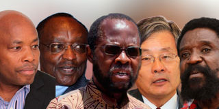 Team of scholars crafting Kenya's post-Vision 2030 development blueprint