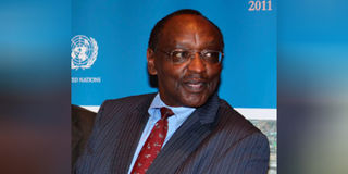 Prof Michael Chege