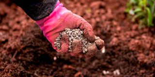 Soil