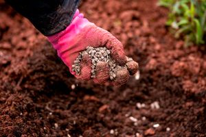 Soil