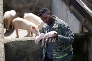 Daniel Kanyoro