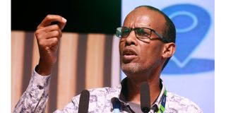  Elyas Abdi.