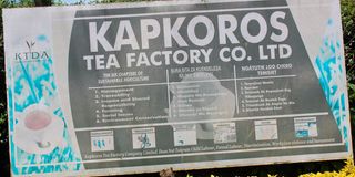 Kapkoros tea factory 