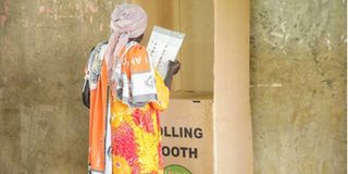 voter