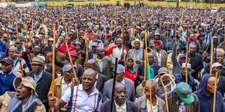 Mt Kenya elders 