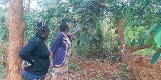 Patrick Mwangi death suicide muranga
