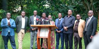 Opposition leaders