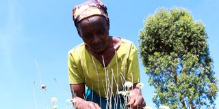 Nancy Wambui 