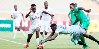 Gor, tusker