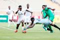 Gor, tusker