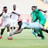 Gor, tusker