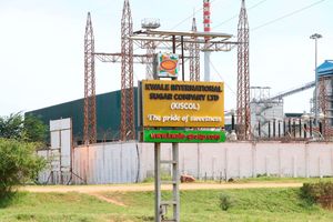Kwale International Sugar Company