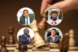 political chessboard 