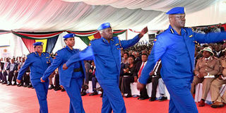 police officers in blue uniform