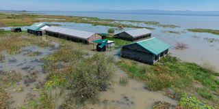 Lake Bogoria submerged buildings