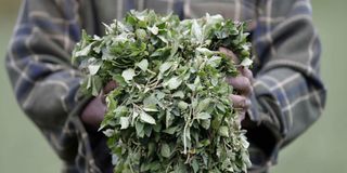Benson Muchai 