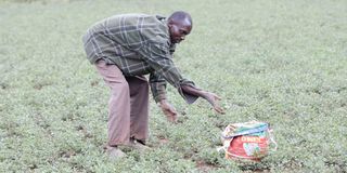 Benson Muchai 