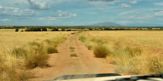 Kibish grazing land in Turkana County. 