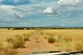 Kibish grazing land in Turkana County. 
