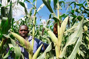 Kenyan farmer