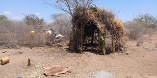 Banditry Turkana