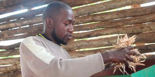 Shadrack Ikunga