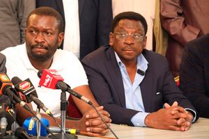 Edwin Sifuna and James Orengo