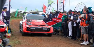 Safari Rally