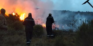 Mt Kenya Forest fire