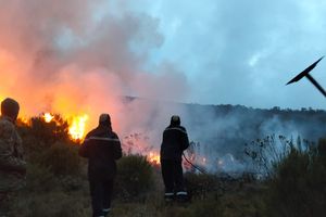 Mt Kenya Forest fire