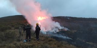 Mt Kenya Forest fire