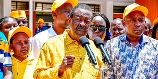 Musalia Mudavadi
