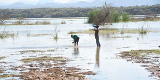 Baringo