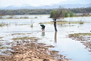 Baringo