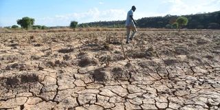 Baringo