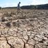 Baringo