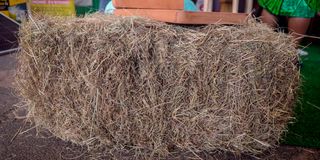 LIVEMO Limited hay