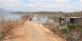 Lake Bogoria