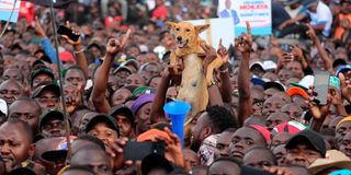 Linda Mwananchi rally 